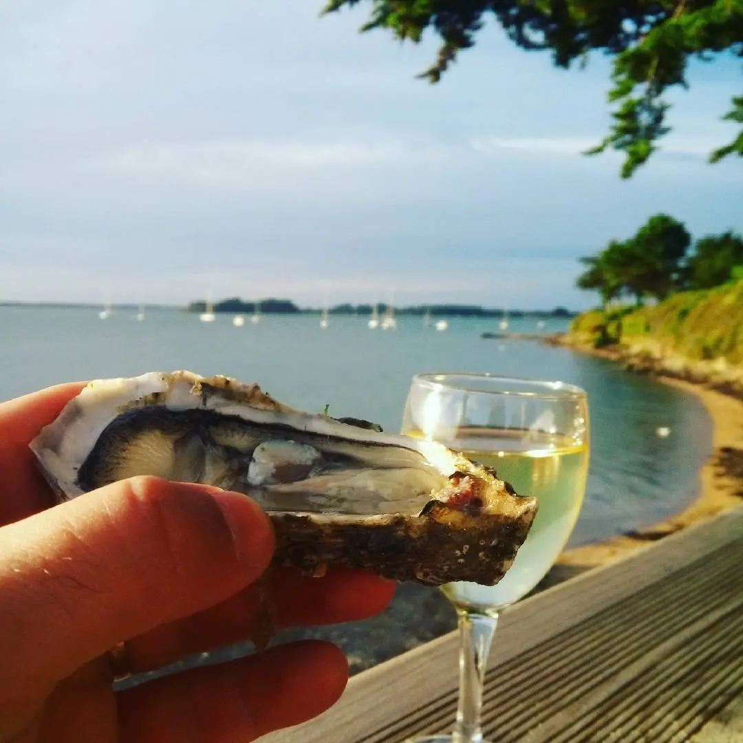 316551863_826815792026800_2978693136063605916_n