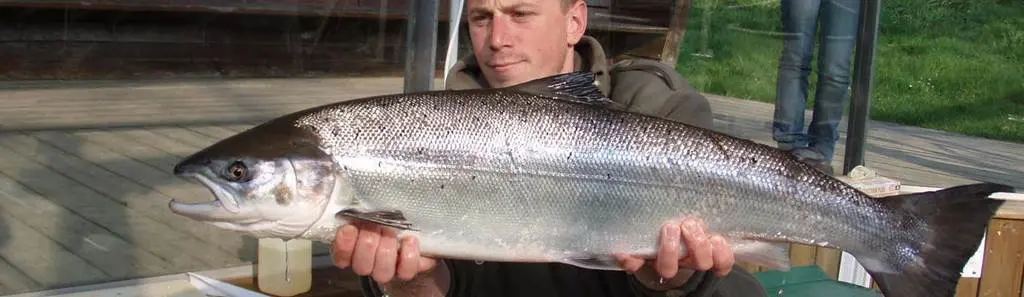 Pêche du Saumon sur le Scorff