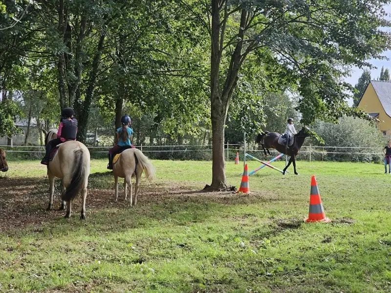 poney club des tifilous - Taupont - Morbihan