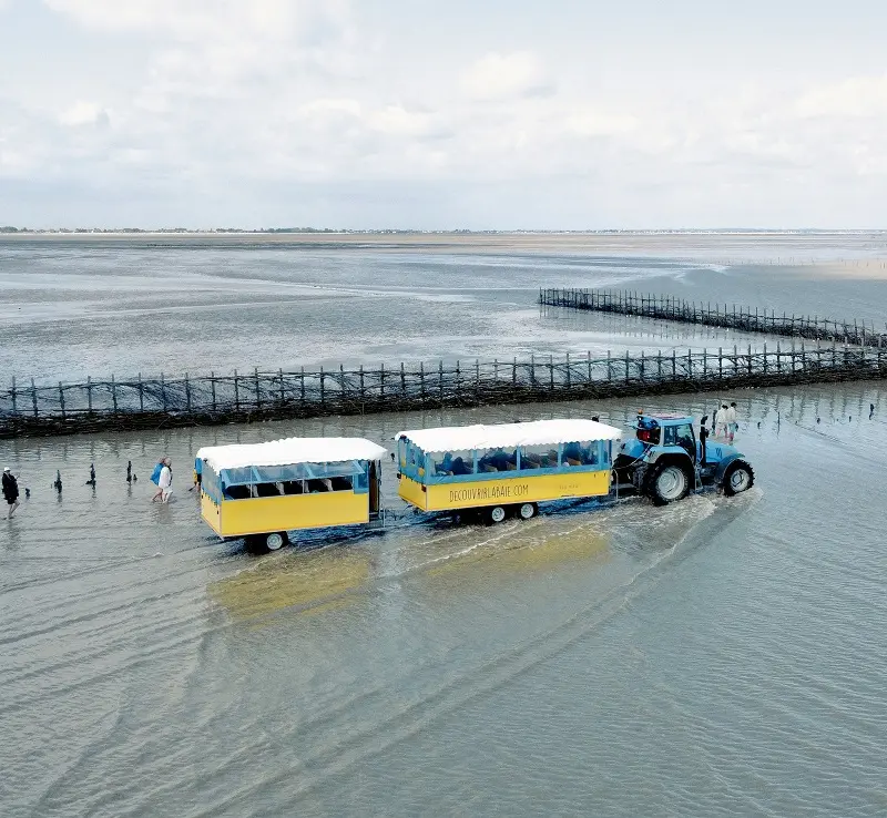 train marin filière affaire