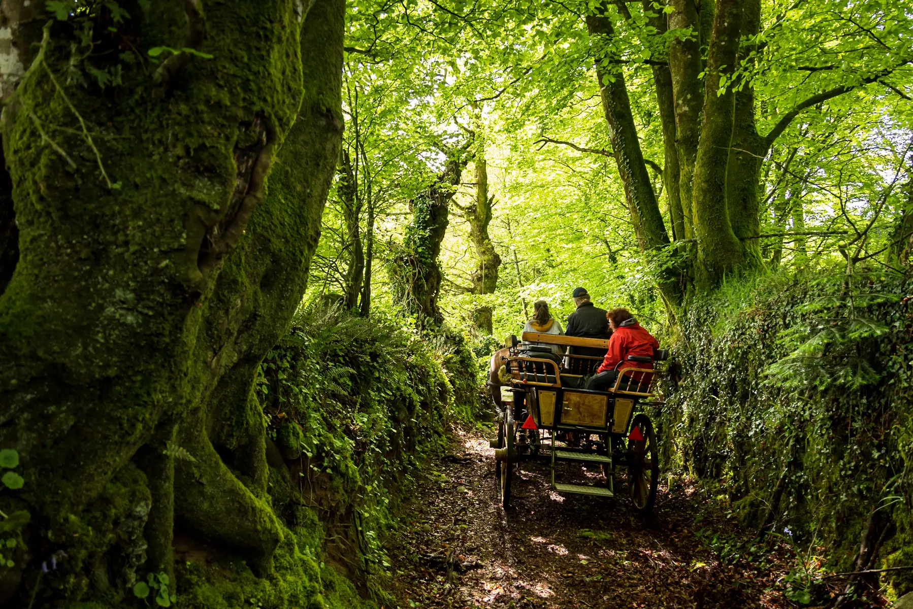 Attelage2021-1442©Emmanuel_Berthier