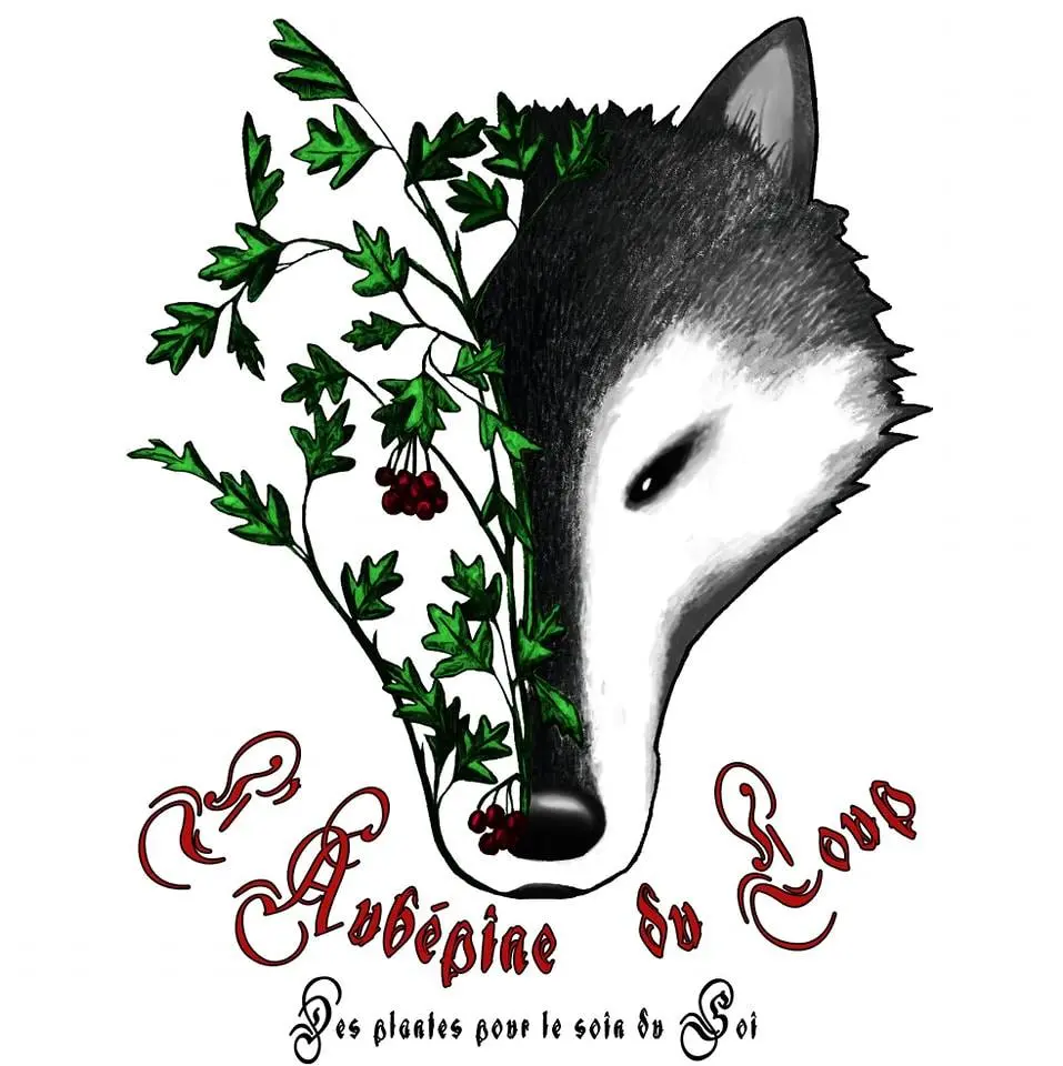 Aubépine du Loup