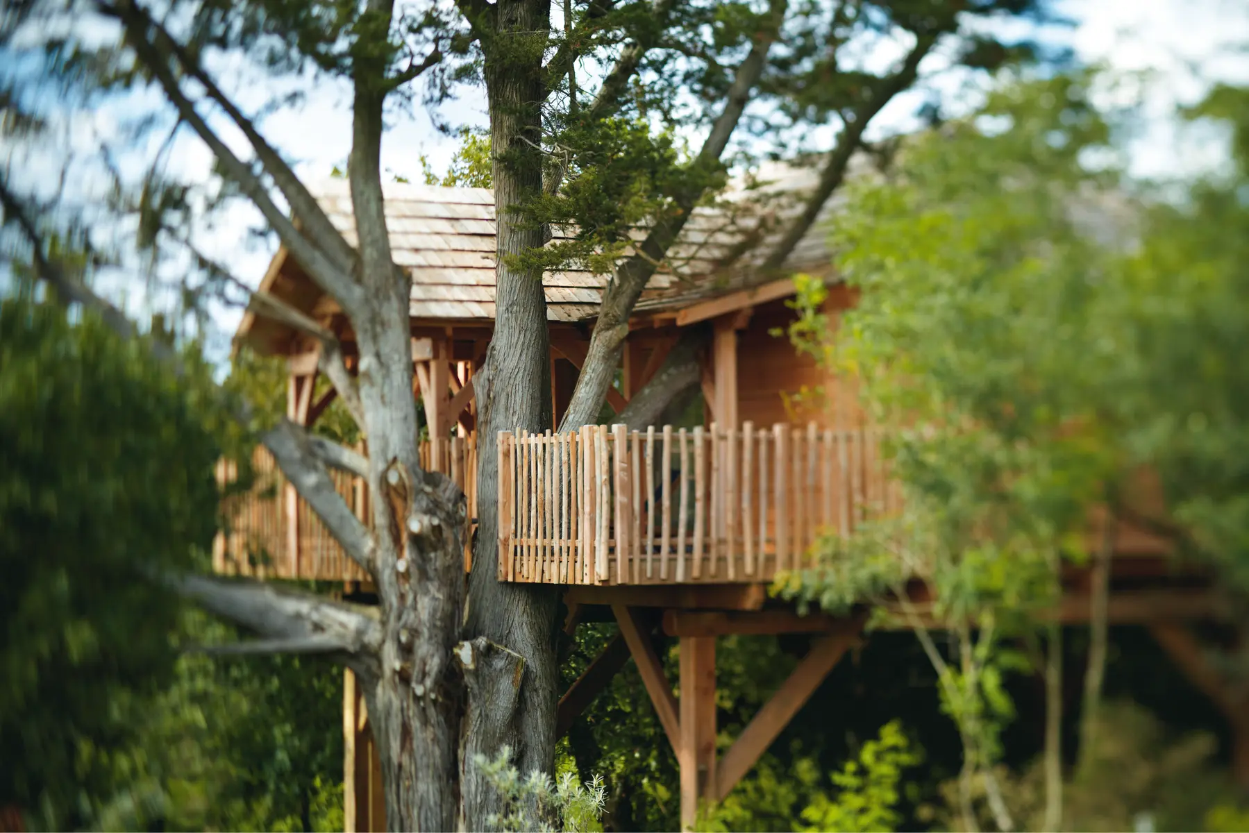 Cabane-La Grée des Landes