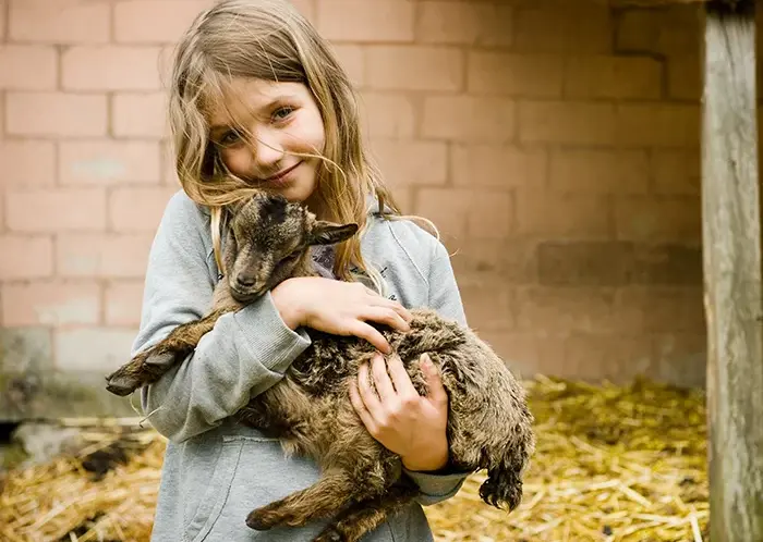 Recreaferme_Cleguerec