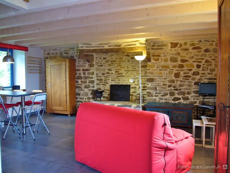 Dilasseur-Réminiac-Morbihan-Bretagne-Sud