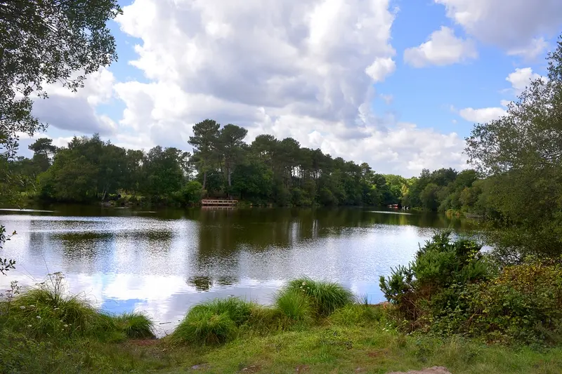 Etang_de_Trégu_Plélan le Grand