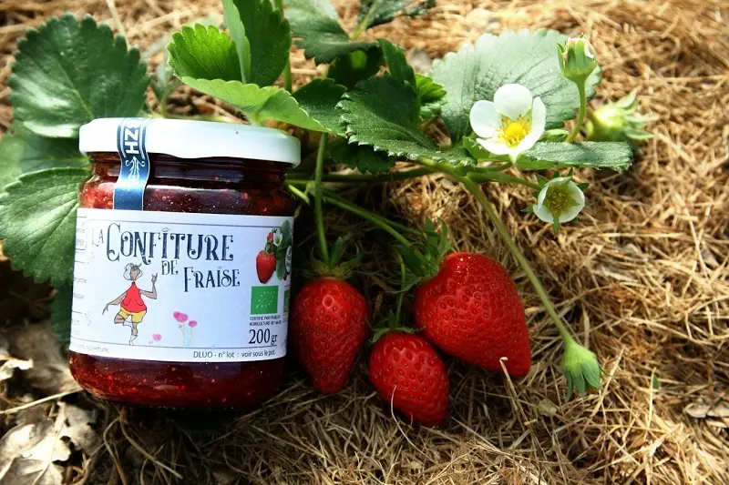 Jardin-Jardine-paysan cuisinier-Confiture de Fraise Bio_Morbihan 56