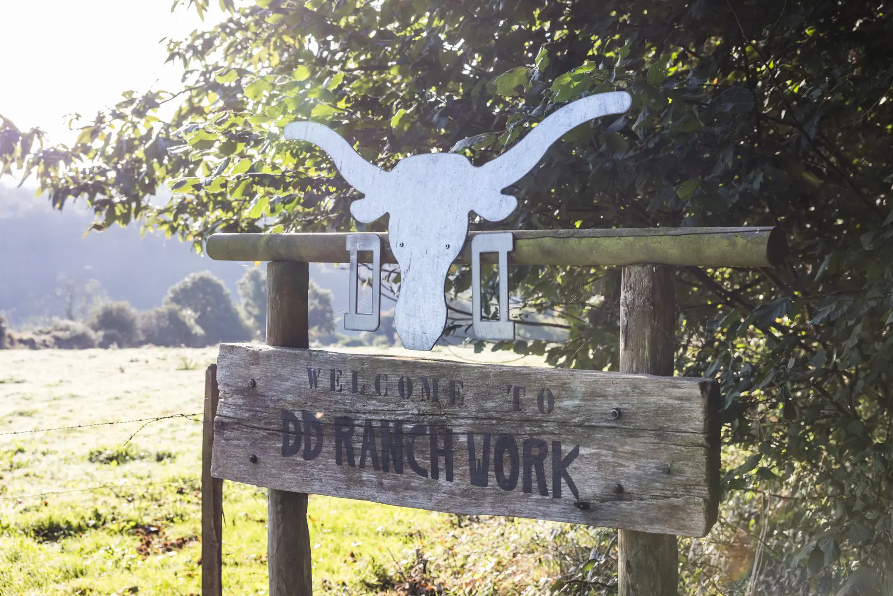 L'Oeil de Paco - DD Ranch - Le Saint (2)
