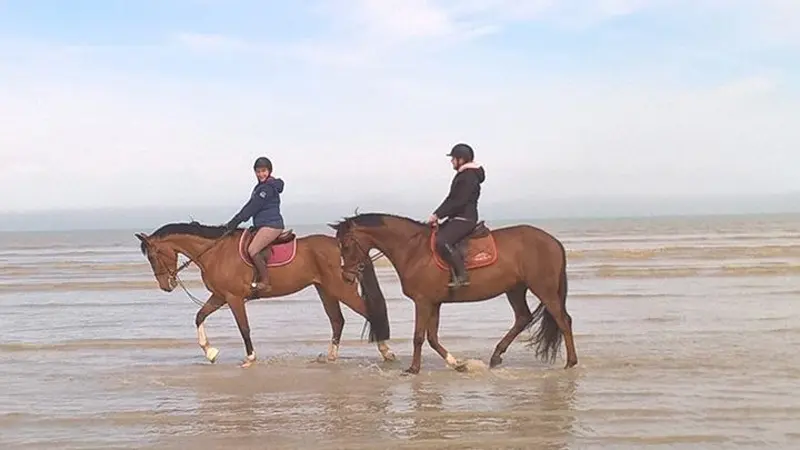 Les Écuries de la Mancelière