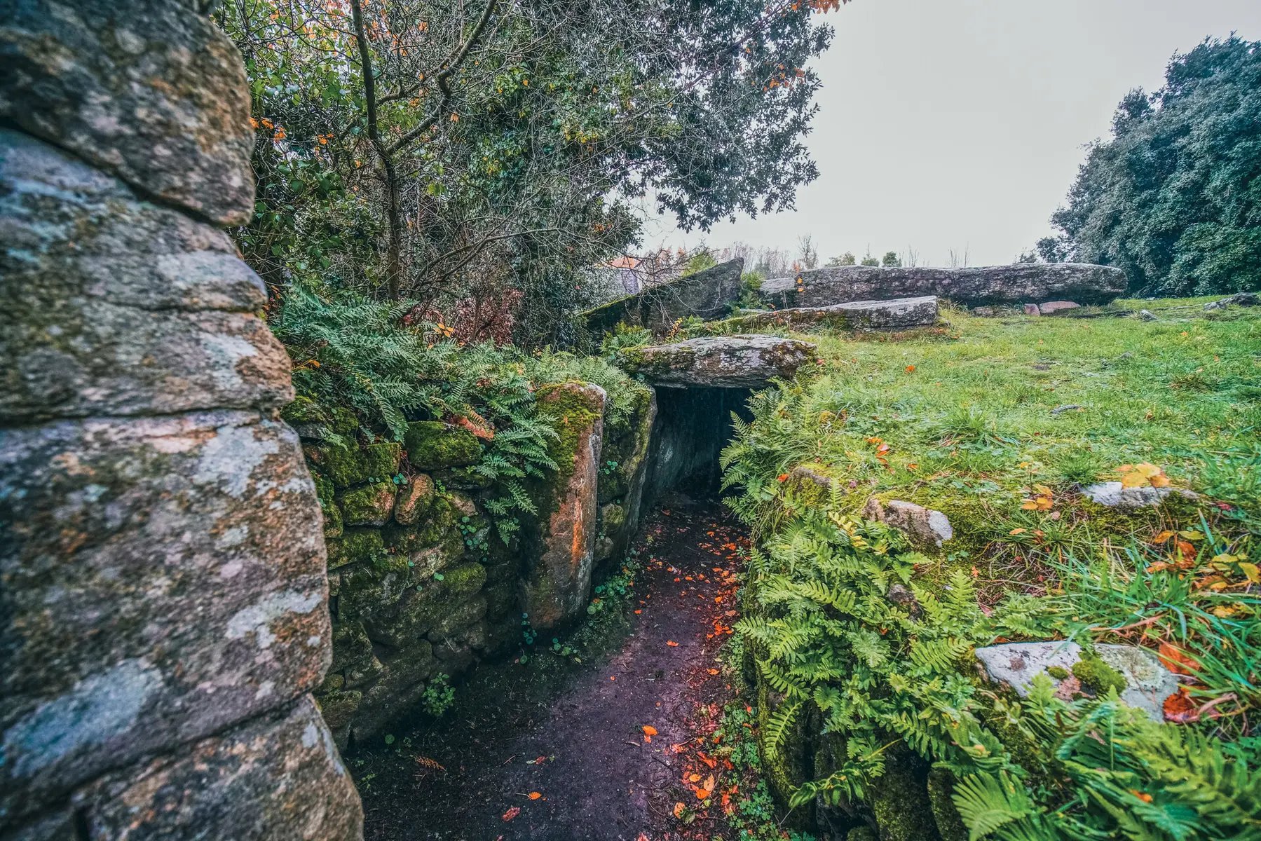 Locmariaquer - Zulaan - 027.jpg_compressed