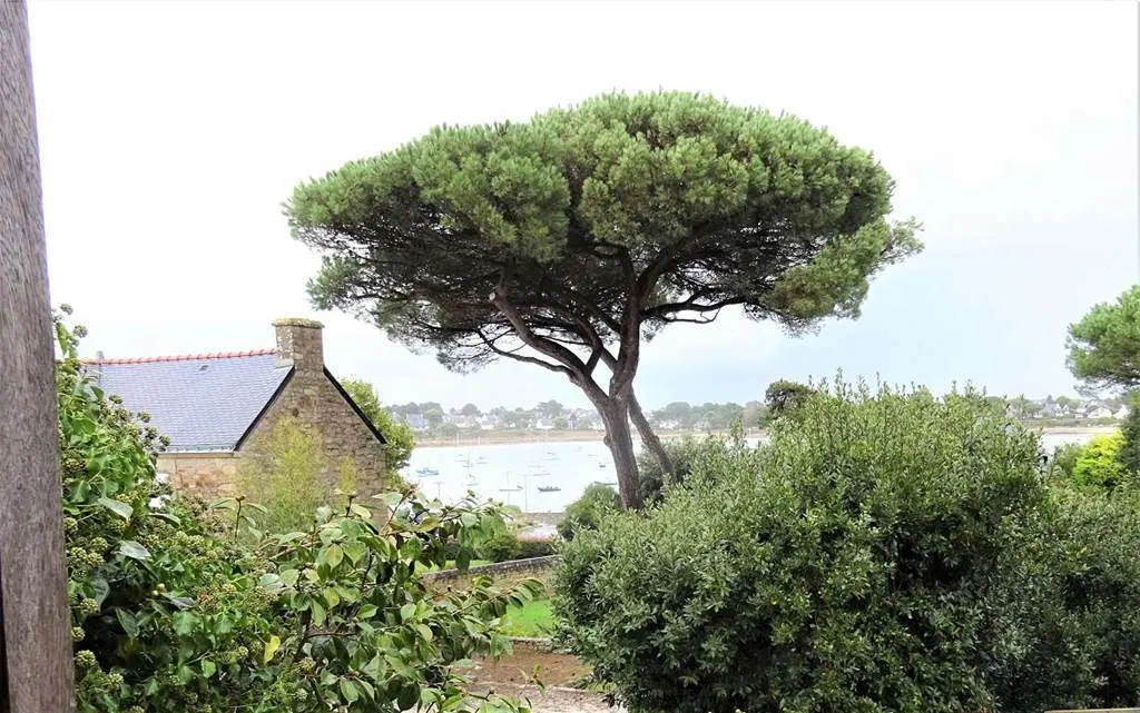 TY-DEGEMER-MAD---ARZON---GOLFE-MORBIHAN--BRETAGNE-SUD