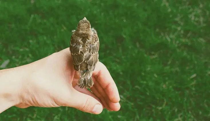 Viarmonie yoga dinard bretagne2