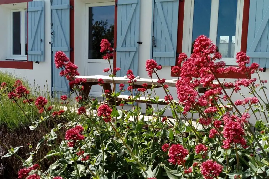 Maison Andro - Locmaria - Morbihan Bretagne Sud