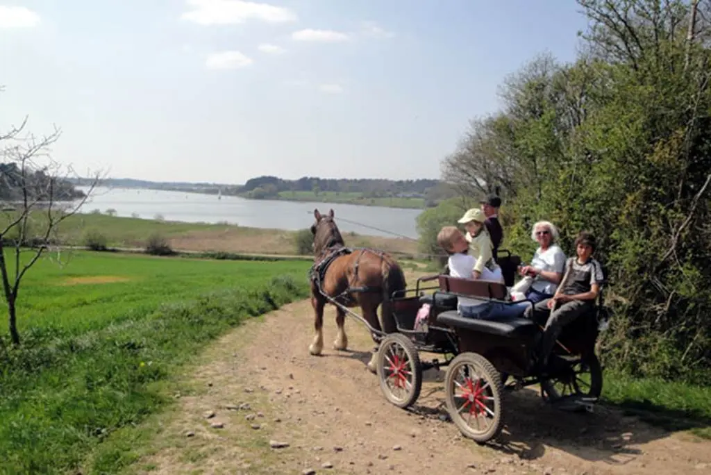 CALECHE-NATURE-AVENTURE