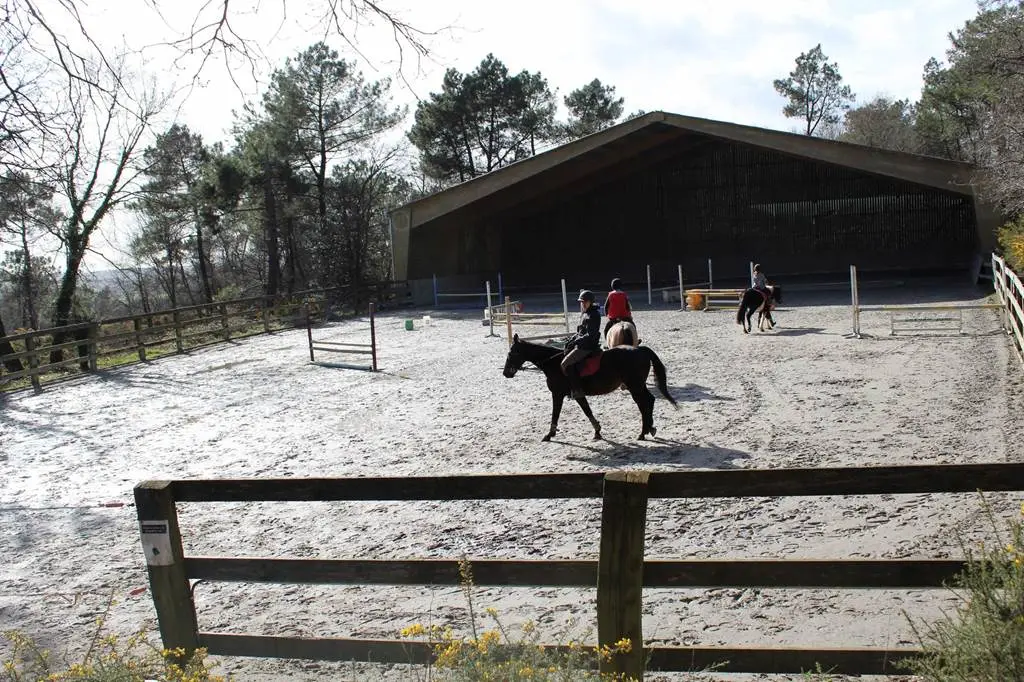 Centre-équestre-Botsegalo-Morbihan-Bretagne-Sud