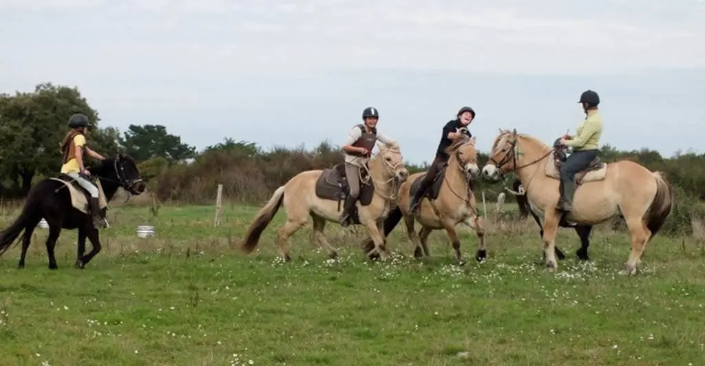 Centre-Equestre-Sentiers-du-Riellec-Sarzeau-Presqu'île-de-Rhuys-Golfe-du-Morbihan-Bretagne sud