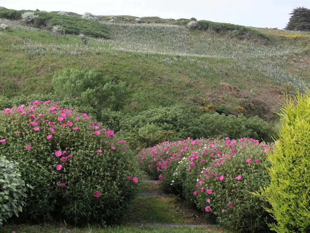 Jardin de la Boulaye