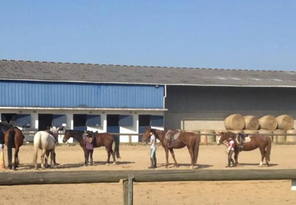 Centre-équestre-Etrier-Vannetais-vannes-morbihan-bretagne-sud