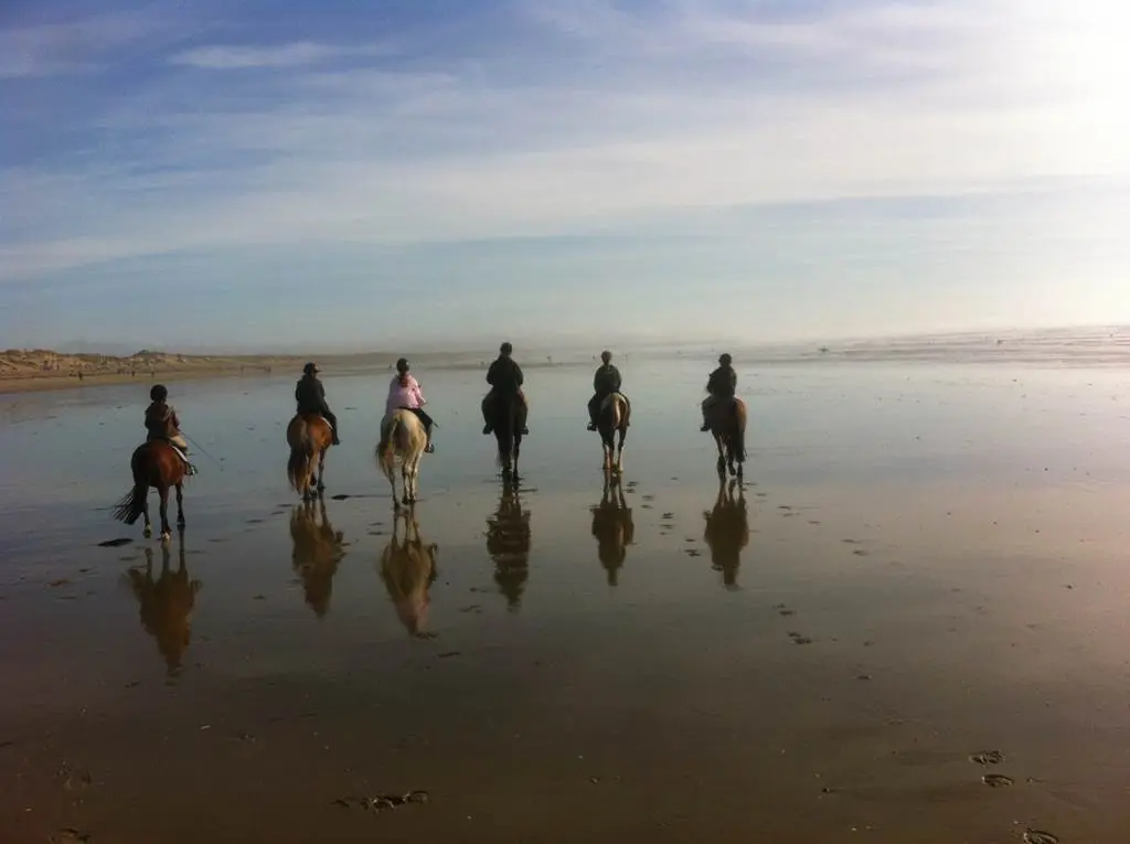 Equicelte-Plouharnel-Morbihan-Bretagne-Sud