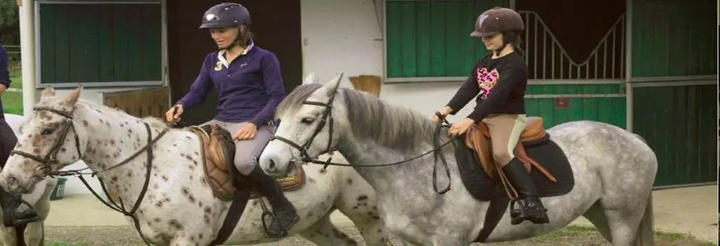Les écuries de bel air-Muzillac-Tourisme arc sud bretagne