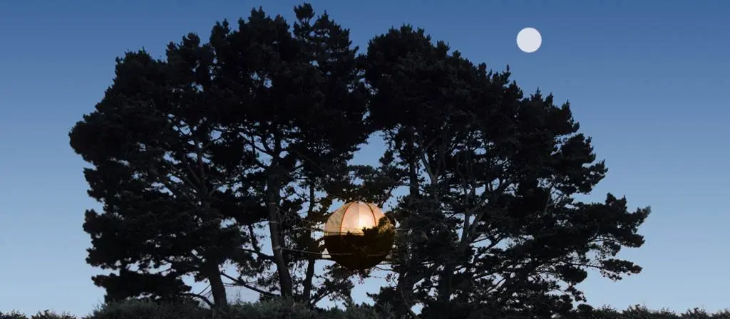 Nids-Parcabout-Groix-Morbihan-Bretagne-Sud