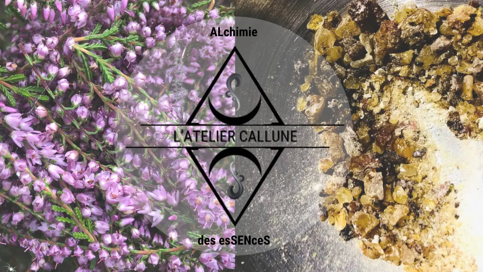 Visite de l'Atelier et de sa boutique