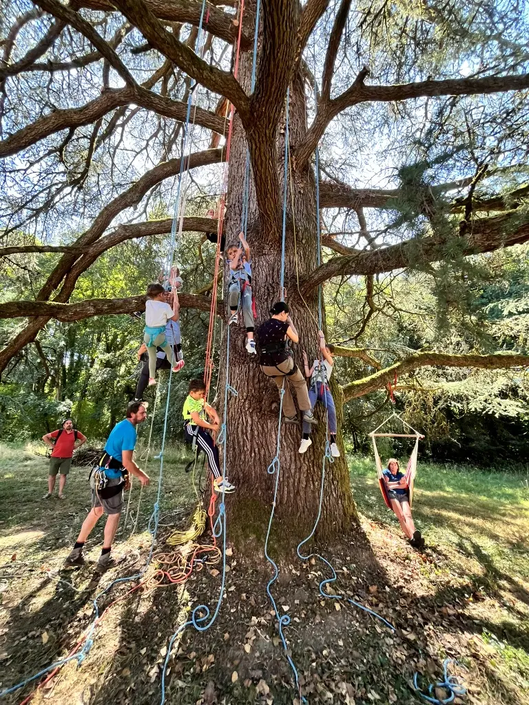 Initiation à la grimpe