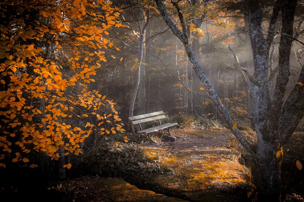 Exposition Laetitia Larquier