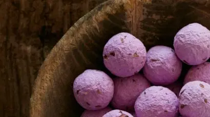 Bombes de graines