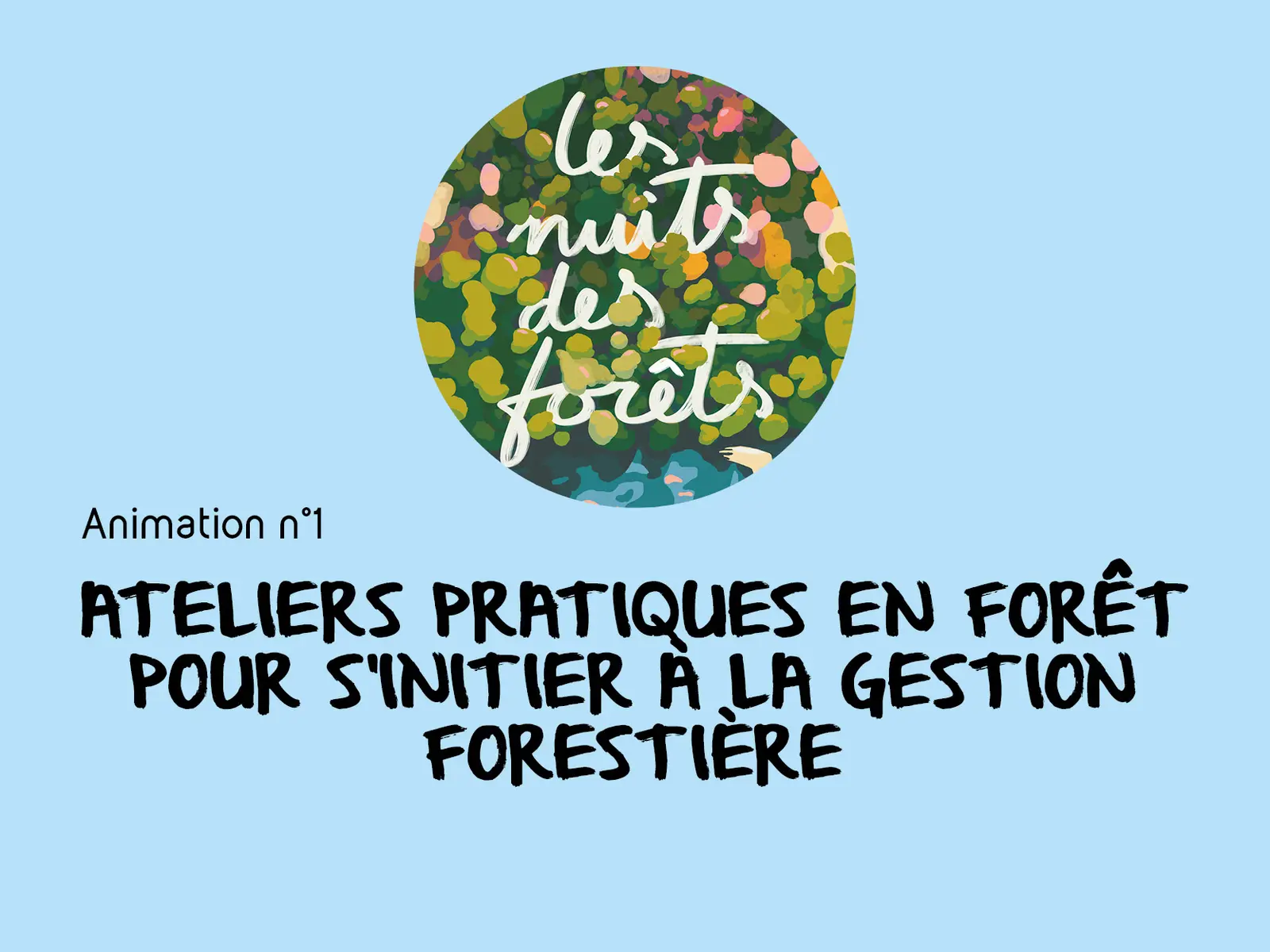 20250614_INT_NEDDE_Nuits des Forets_AnimationDiv_Anim1_forêt générale