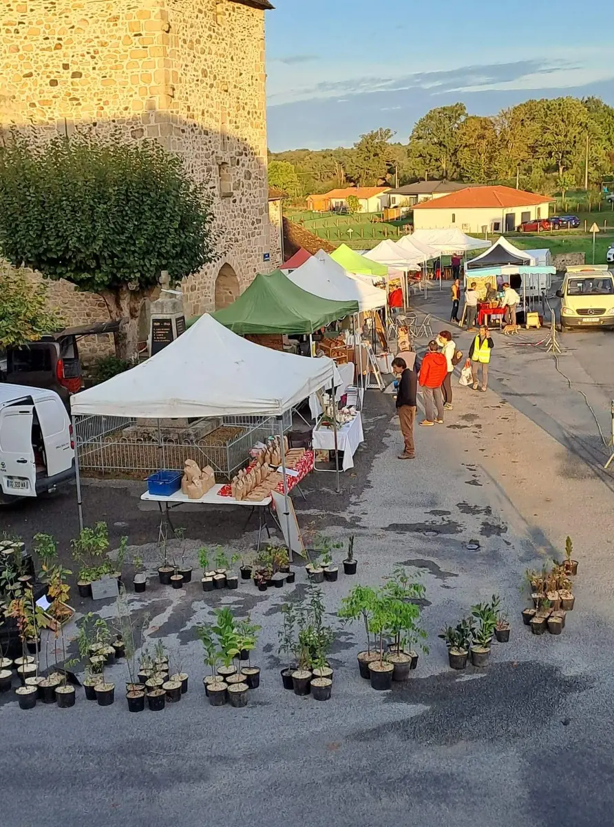 Marché_3