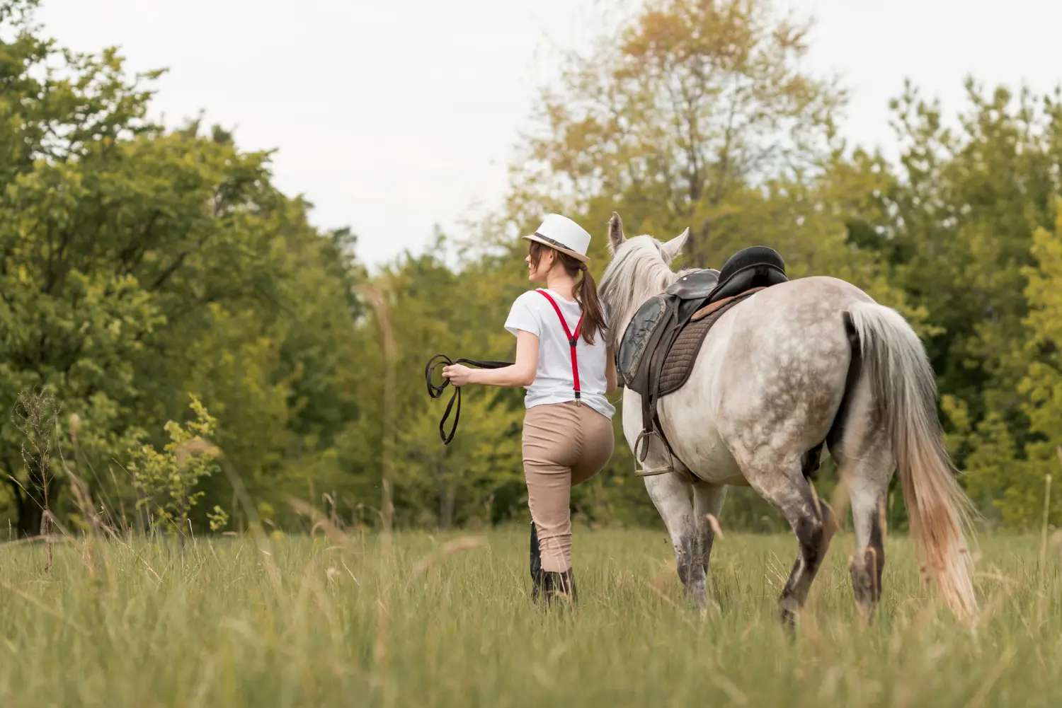 Fête du Cheval de Saillat-sur-Vienne