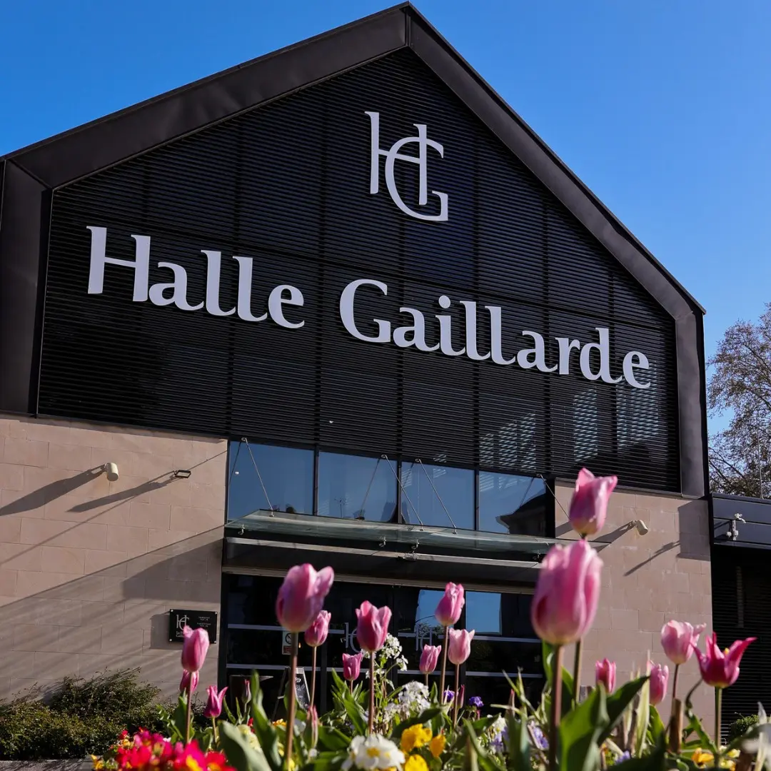 342822370_1704332216650602_3338007084005805645_n