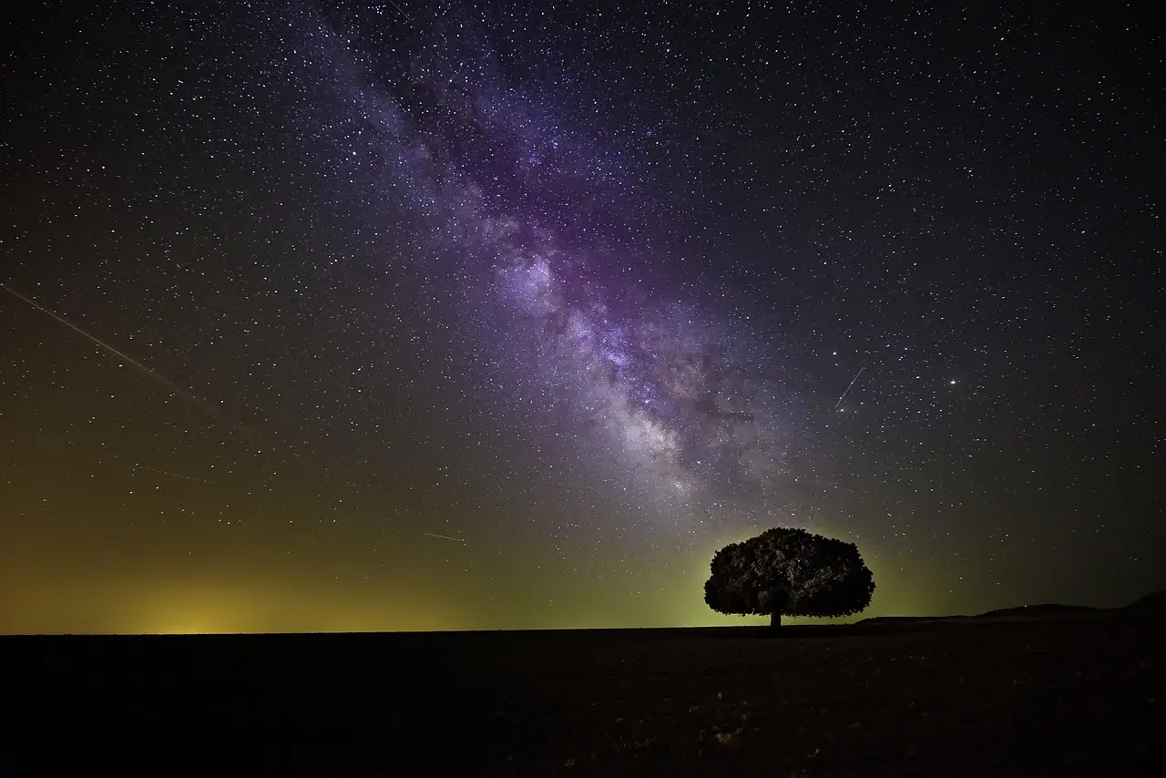 tree-1866602_1280