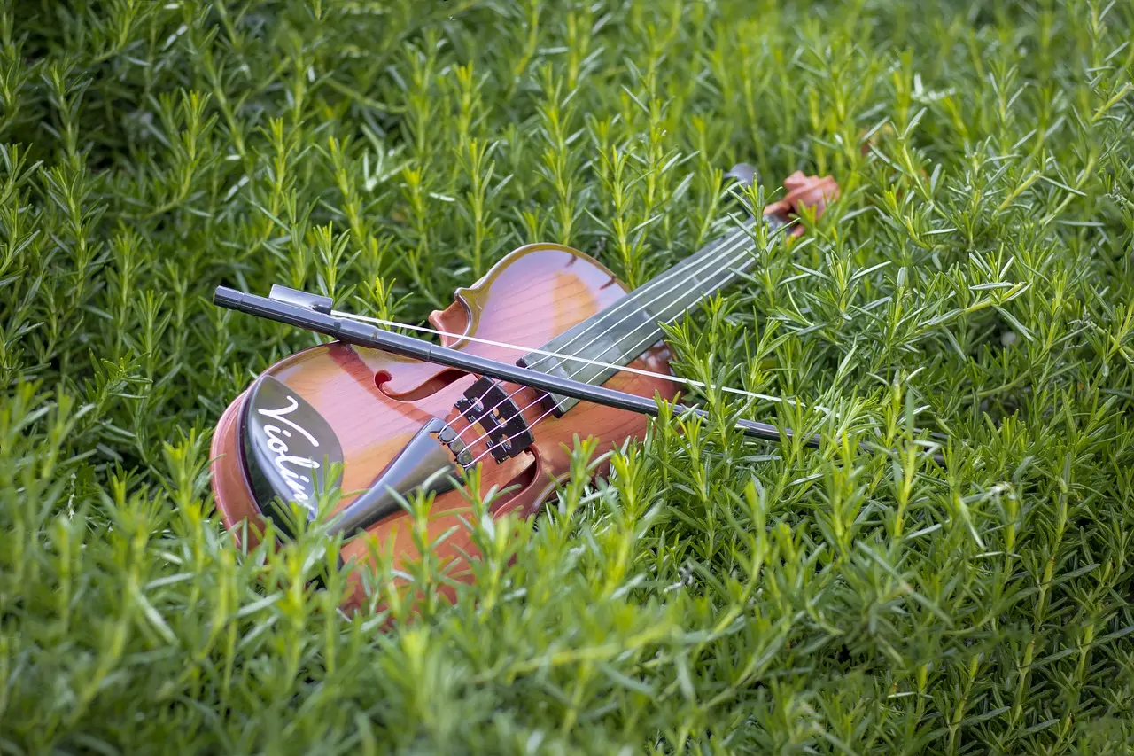 Violon