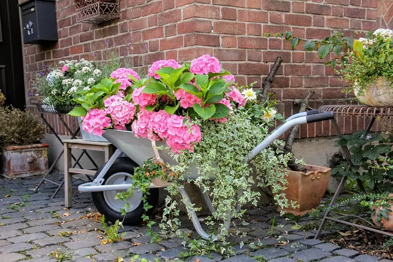 Vide Jardin