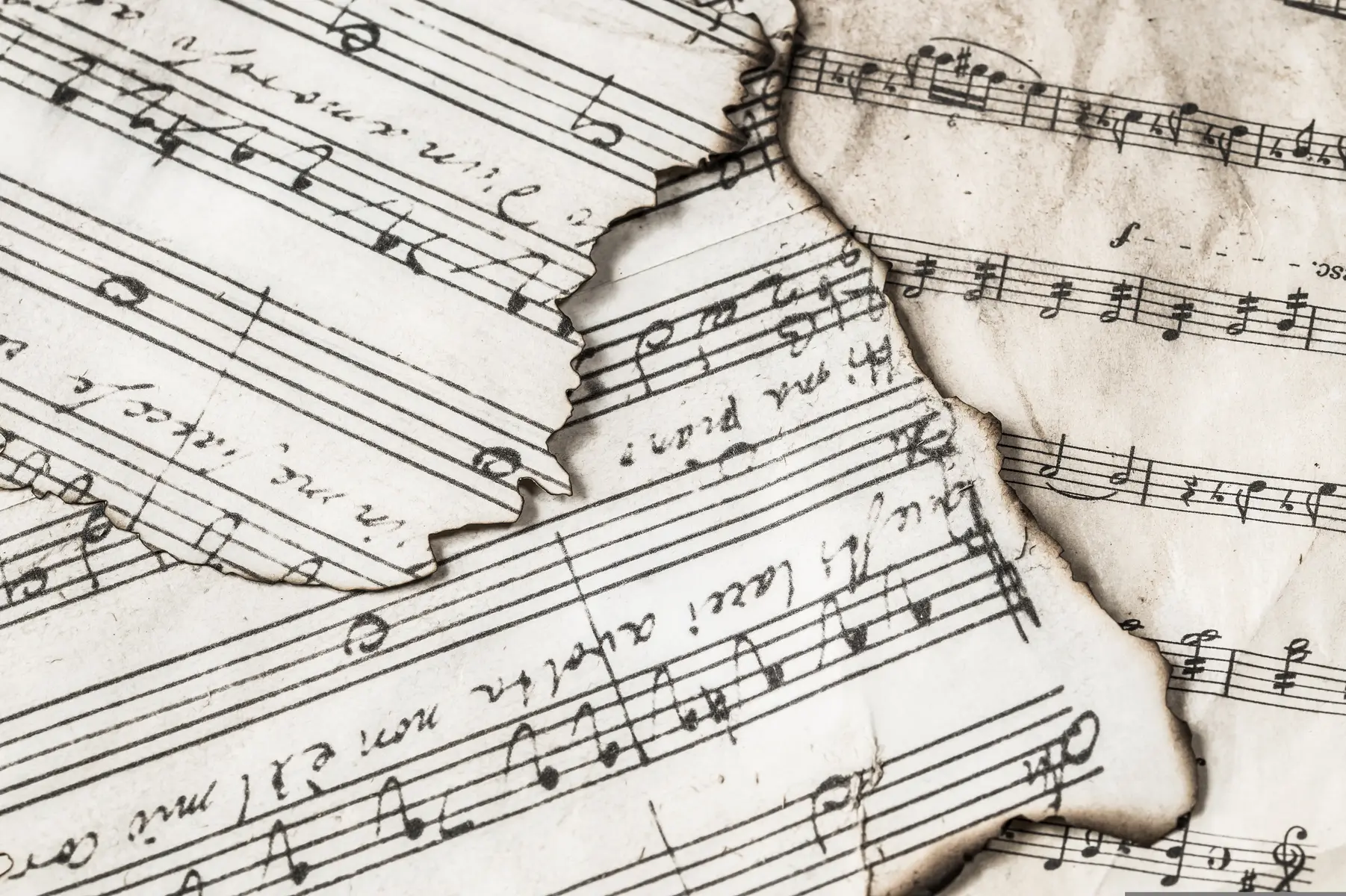 ylanite-music-notes-3221097