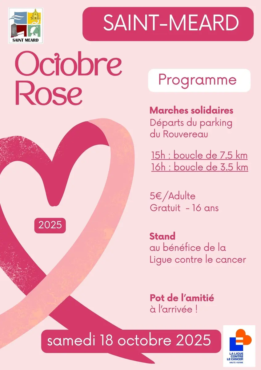 Affiche programme octobre rose clair - 1