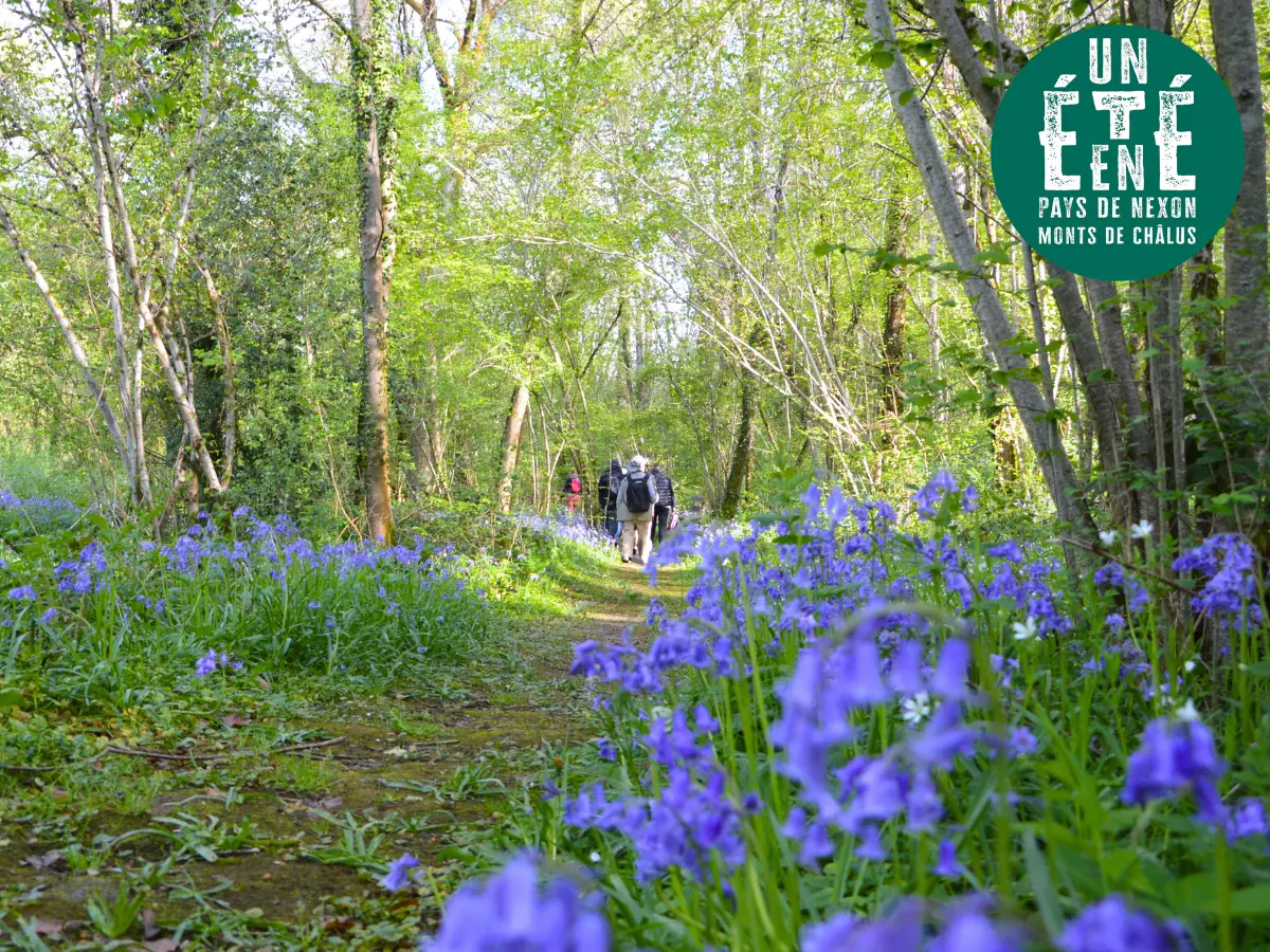 Sortie nature - Sentier musical de Pageas