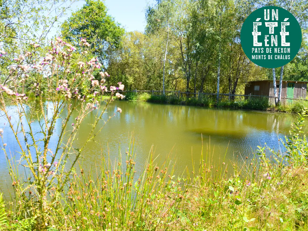 Sortie nature à l'espace Lamaud Desbordes