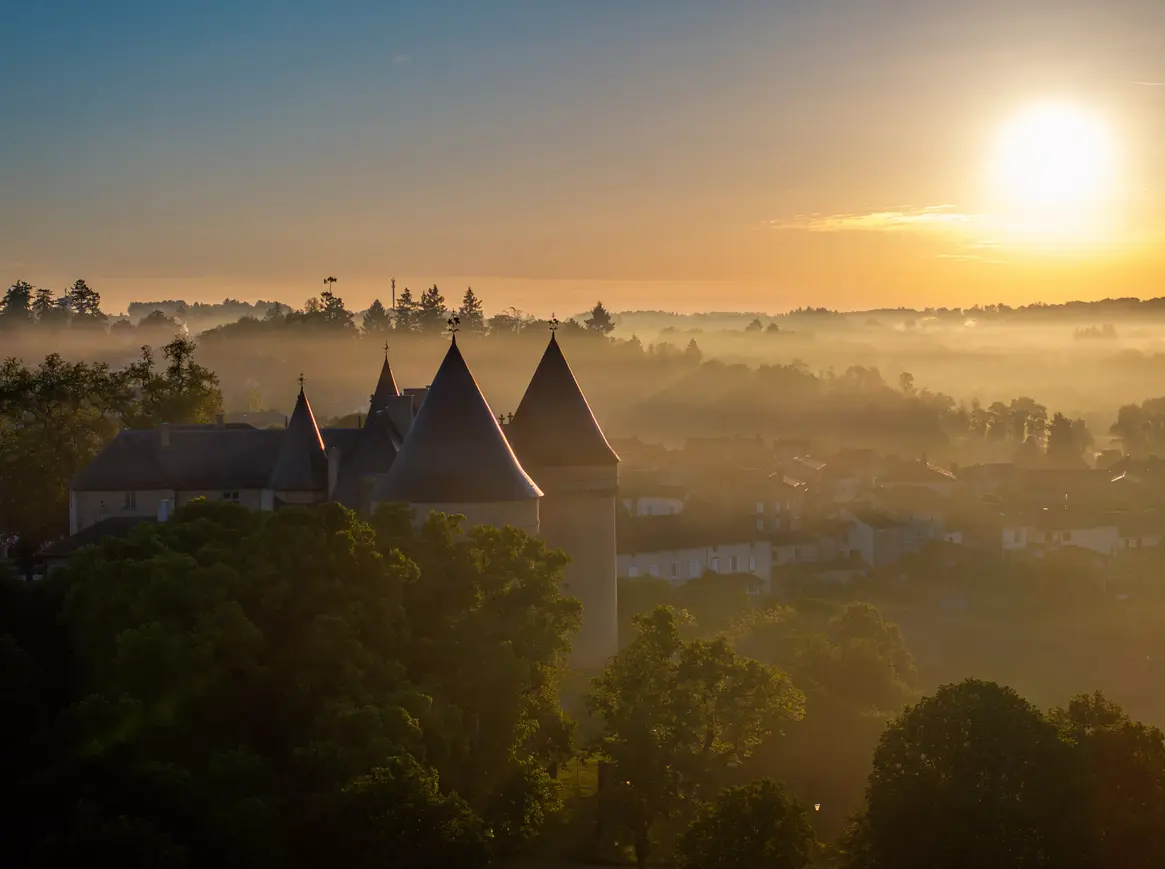 Célébration des 40 ans du Musée d’art contemporain de la Haute-Vienne