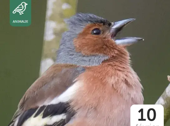 Capture d'écran 2025-12-08 143729