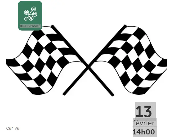 Capture d'écran 2025-12-08 145511