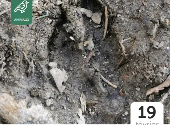 Capture d'écran 2025-12-08 150330