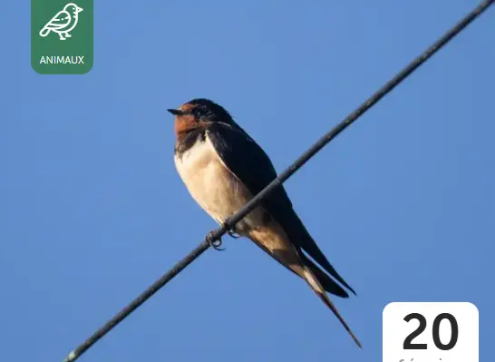 Capture d'écran 2025-12-08 151147