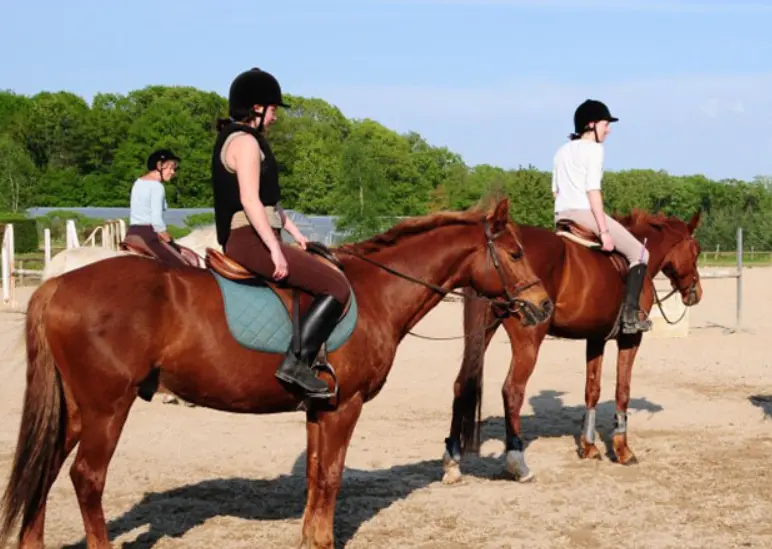 Capture d'écran 2025-12-18 104610