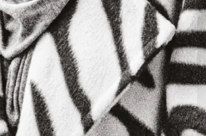 Capture d’écran 2026-02-19 114102