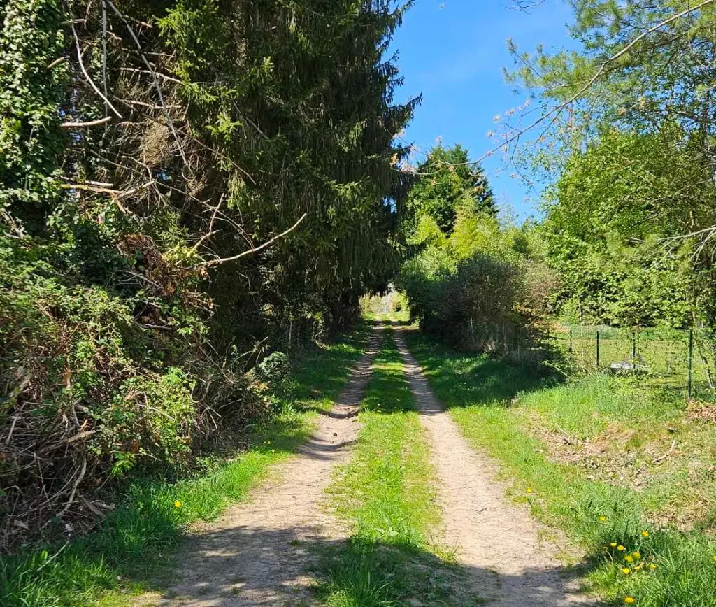 Chemin des étangs - GRC
