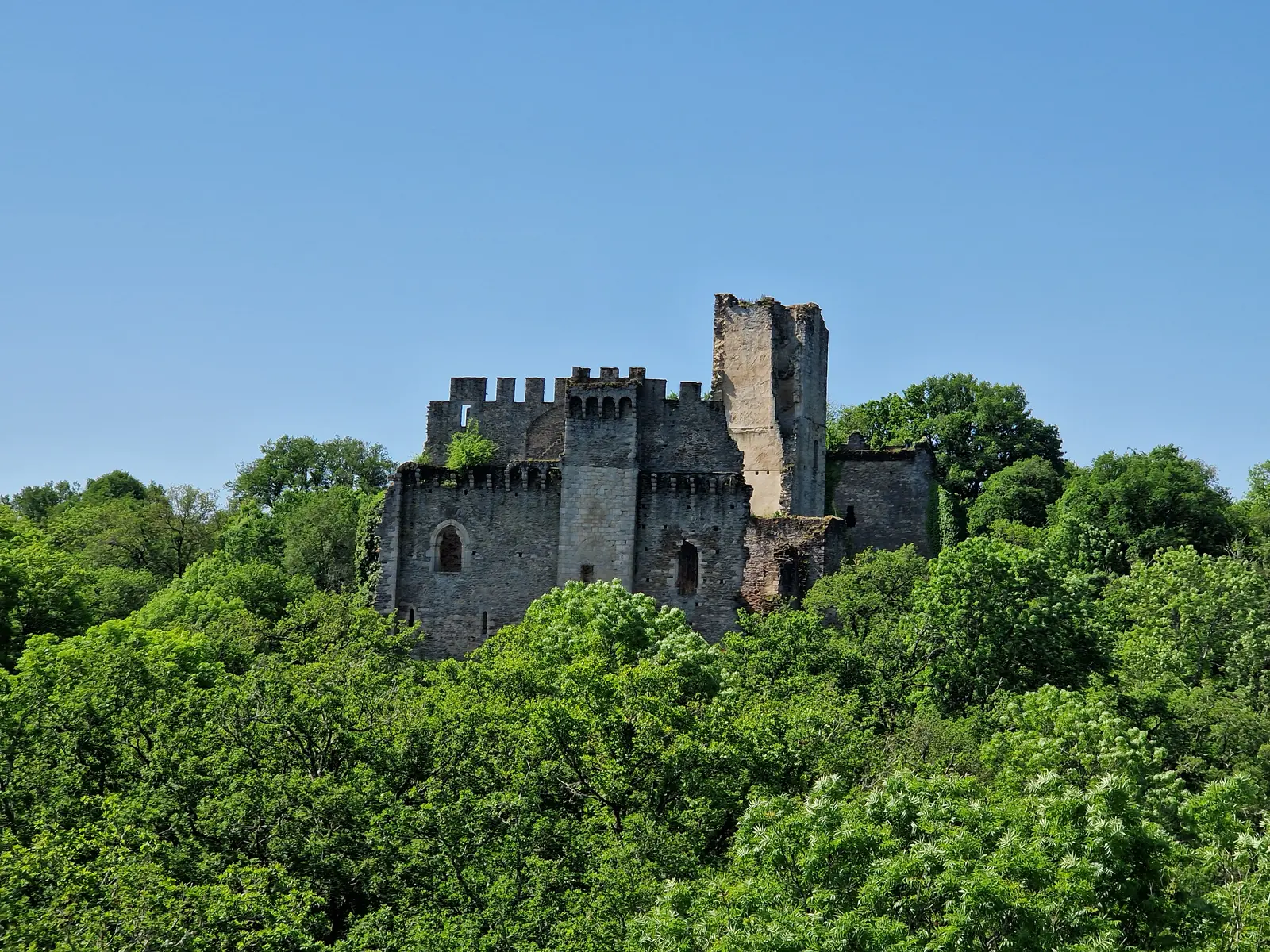 DC3A9partementdelaHaute-Vienne_-_3614