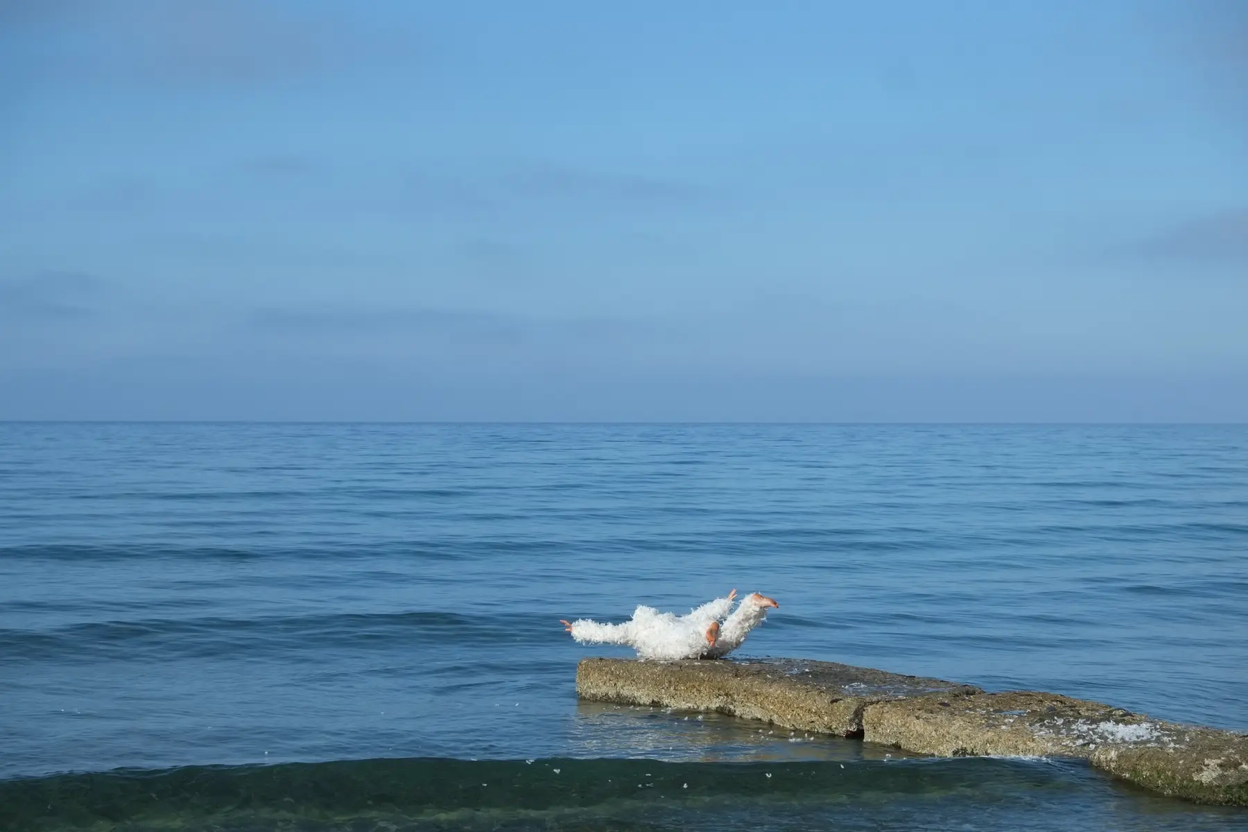 Kristina Depaulis, Échec Vol 1, Échec Vol 1, 2018. Coll. Frac-Artothèque NA.